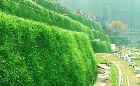 生態(tài)袋防護(hù)陡坡性能優(yōu)于植生袋