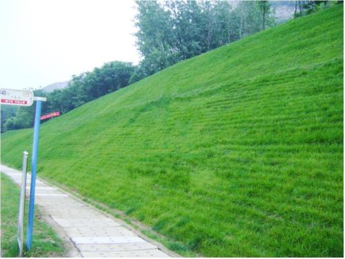生態(tài)袋